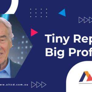 tiny-reports-big-profit